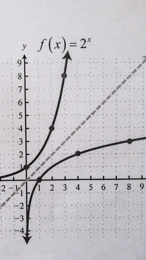 Exponential Function Graph