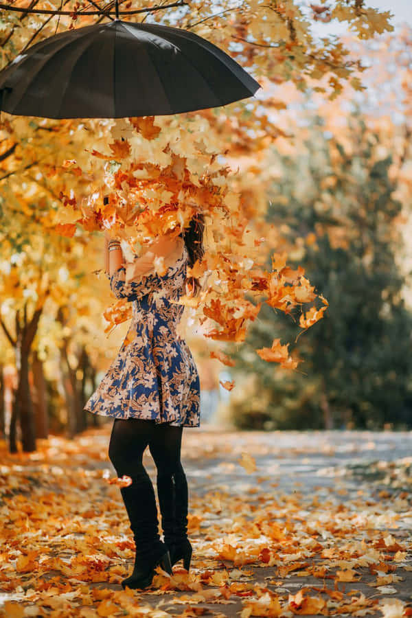 Goditiil magnifico foliage autunnale all'aria aperta