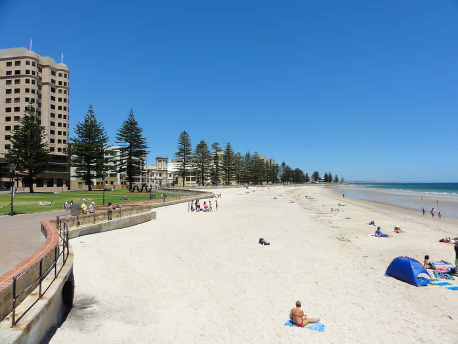 Glenelg Strand Sonniger Tag