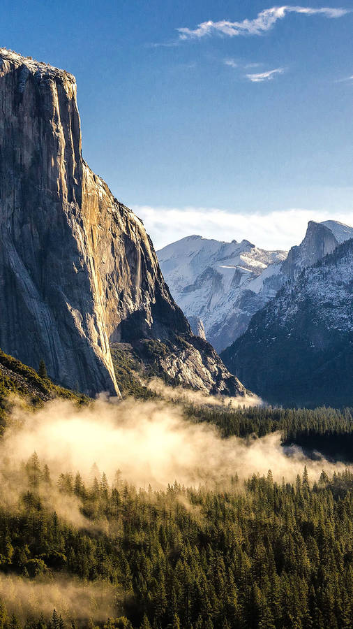 GenießenSie die Natur in all ihrer Pracht auf Ihrem iPhone im Yosemite Nationalpark.