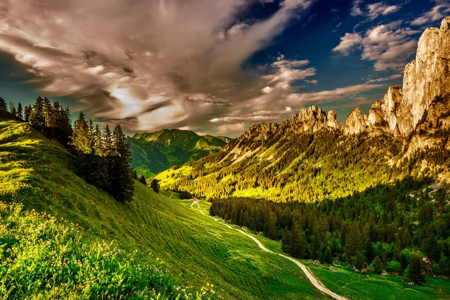 Cool Landscape