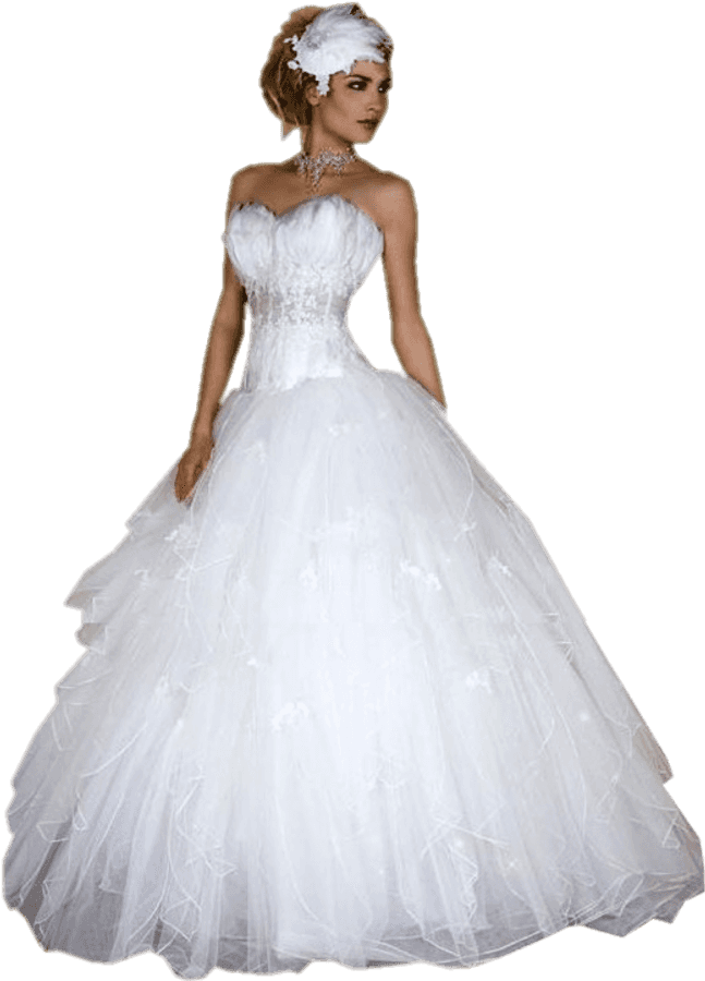 Elegant Bridein White Gown