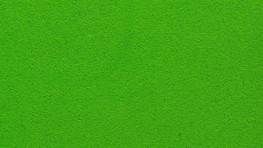 Solid Green