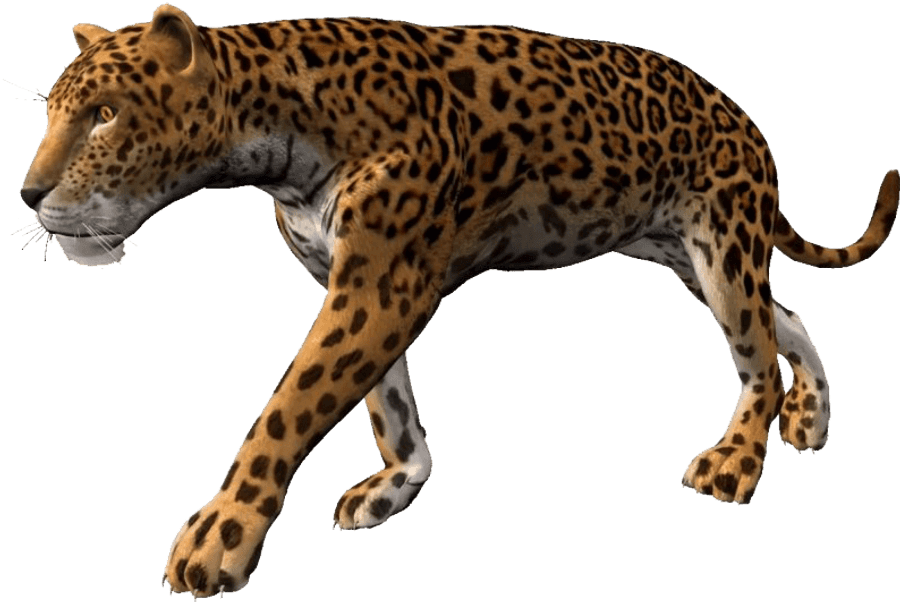 Leopardin Stride.png