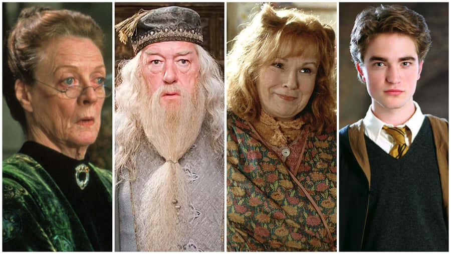 ProfessorDumbledore og Professor McGonagall leder Hogwarts-professorerne.