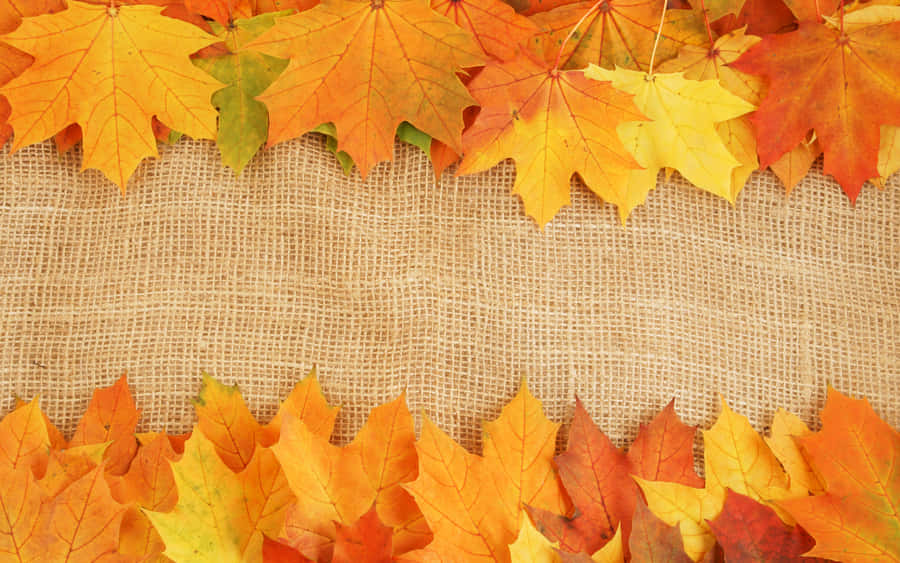 Fall Leaf Background