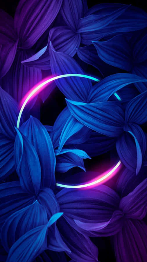 Runde [Hintergrundbild]