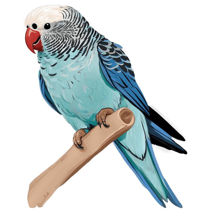 Hand-Drawn Parakeet PNG klr40
