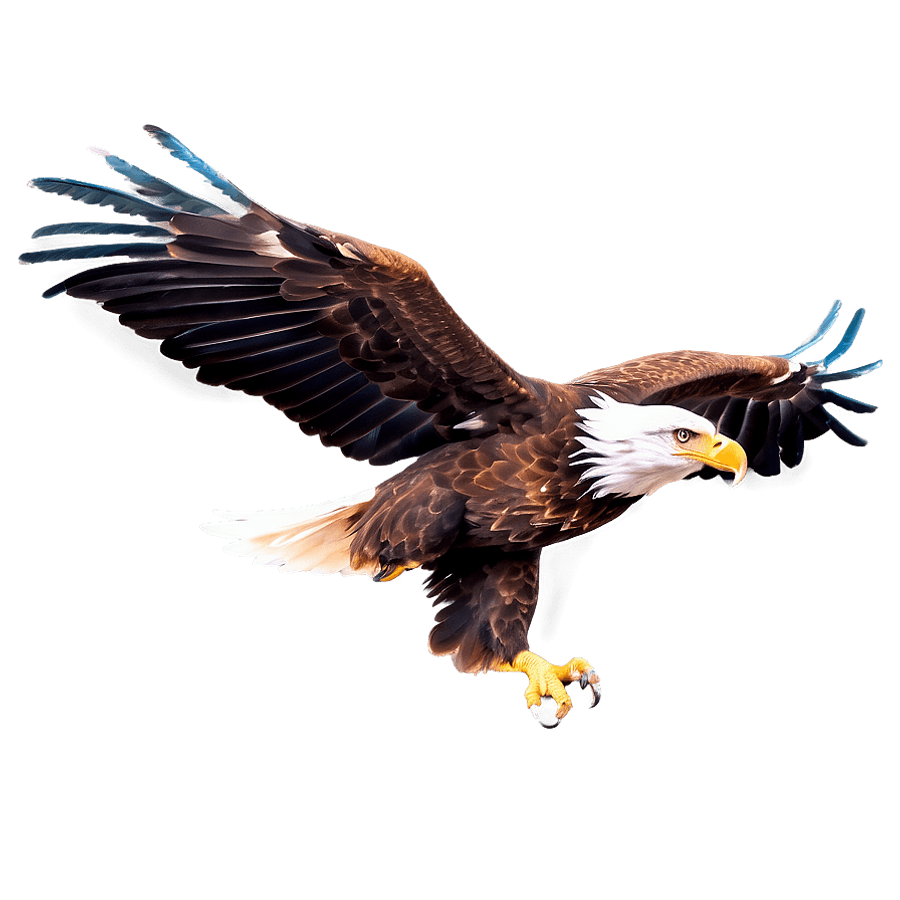 Artistic Eagles PNG fnx
