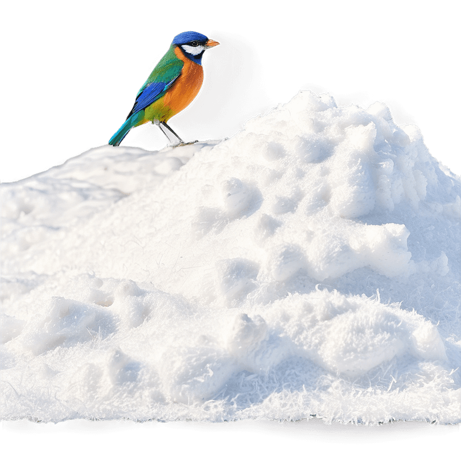 Snow Pile with Bird Footprints PNG jol93