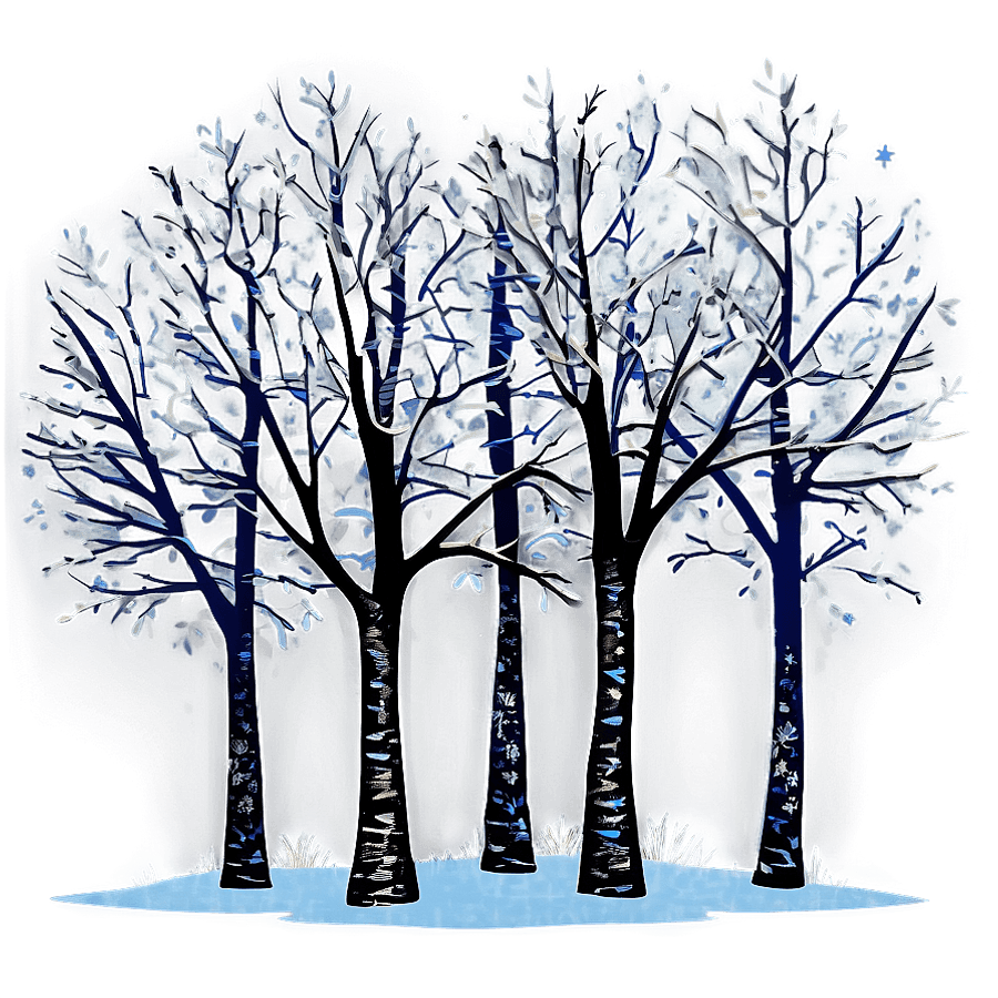 Winter Trees Under Starry Sky PNG 06292024