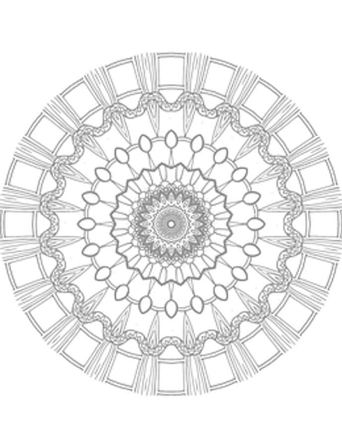 Intricate Black White Mandala Design