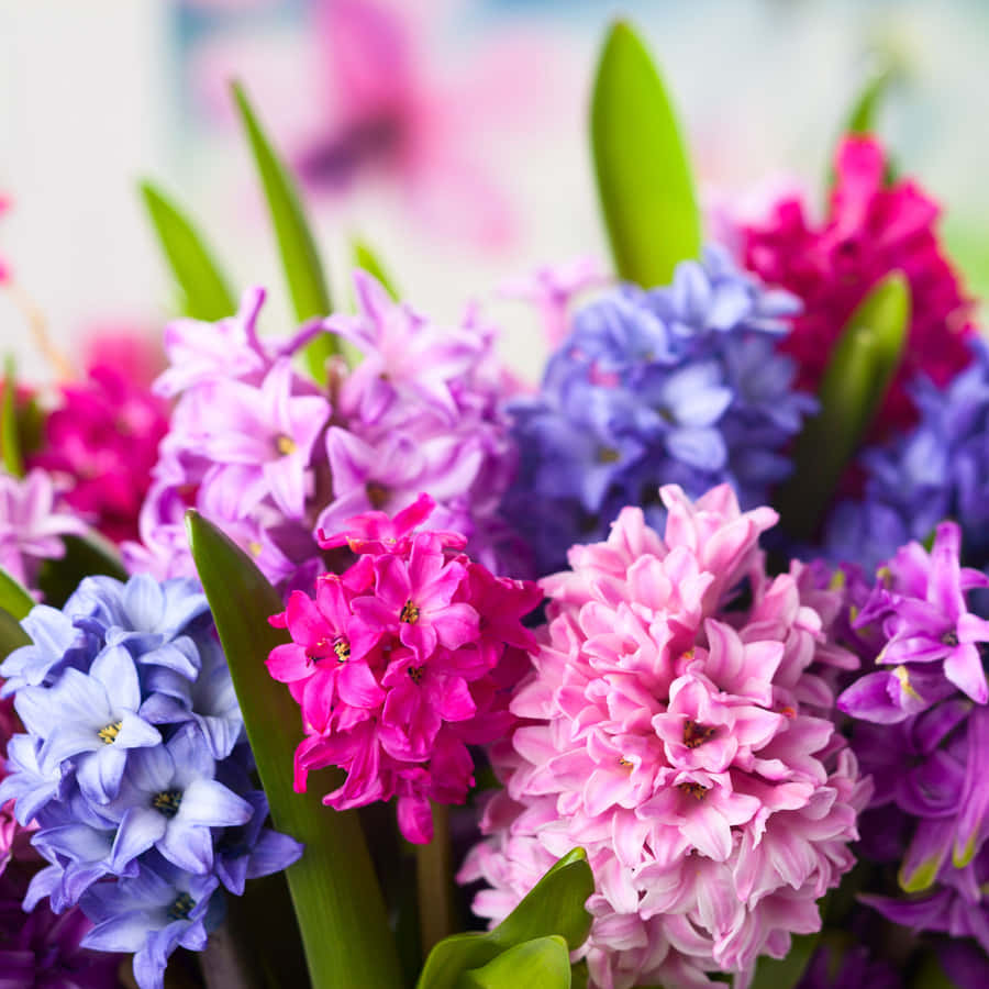 etblomsterbuket i en vase