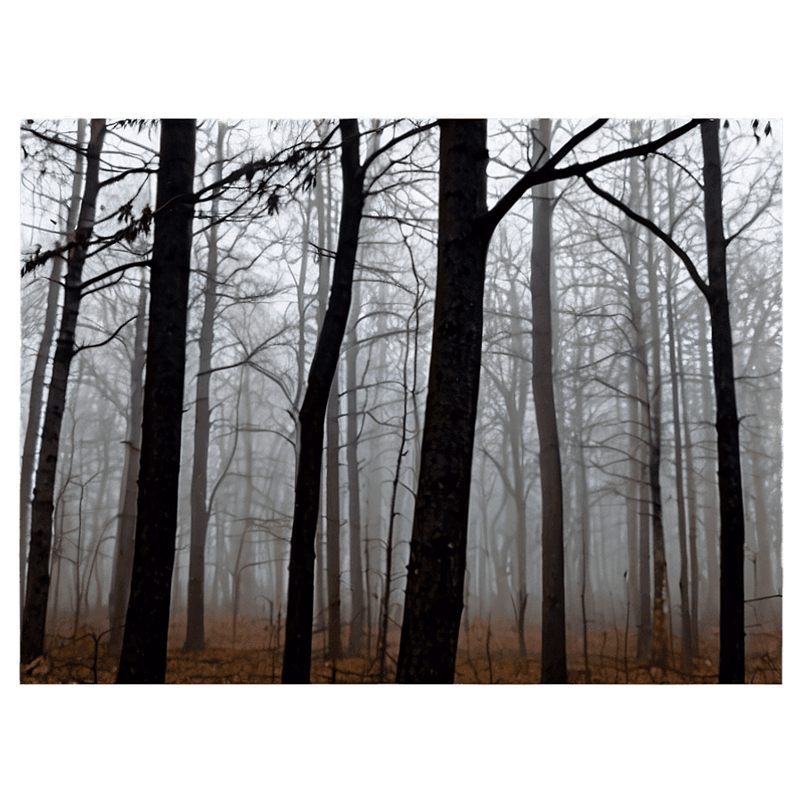 October Foggy Forest PNG 15