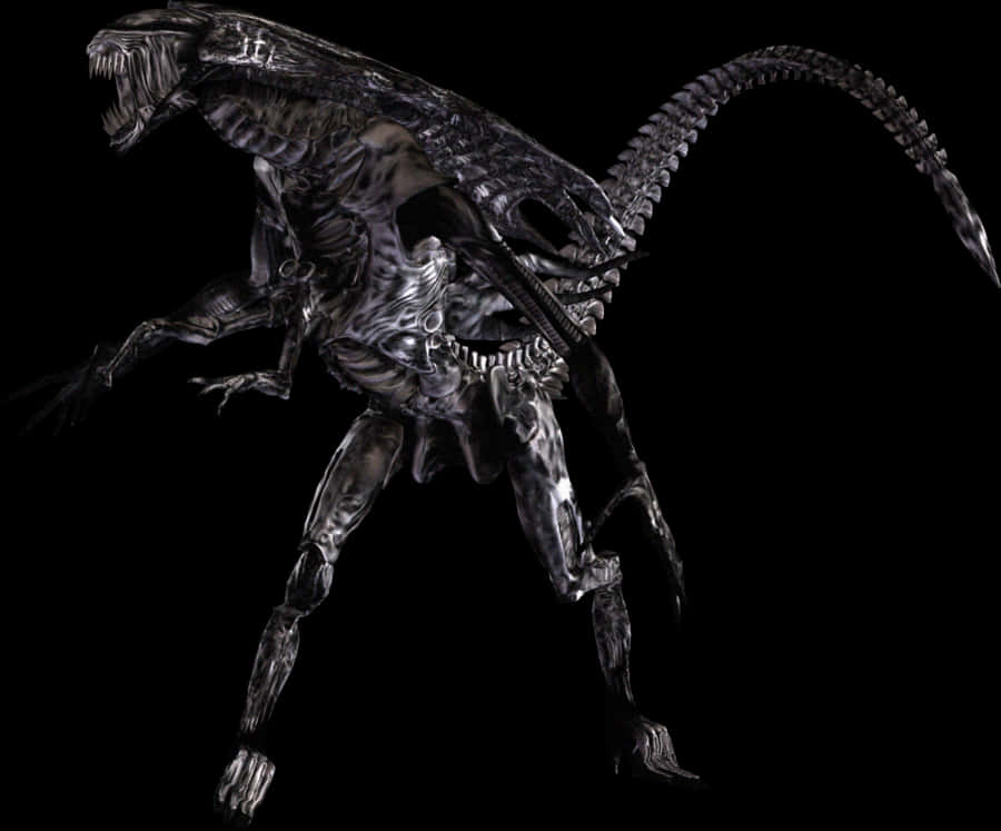 Transparent Alien Xenomorph Png - Alien Vs Predator Png, Png Download