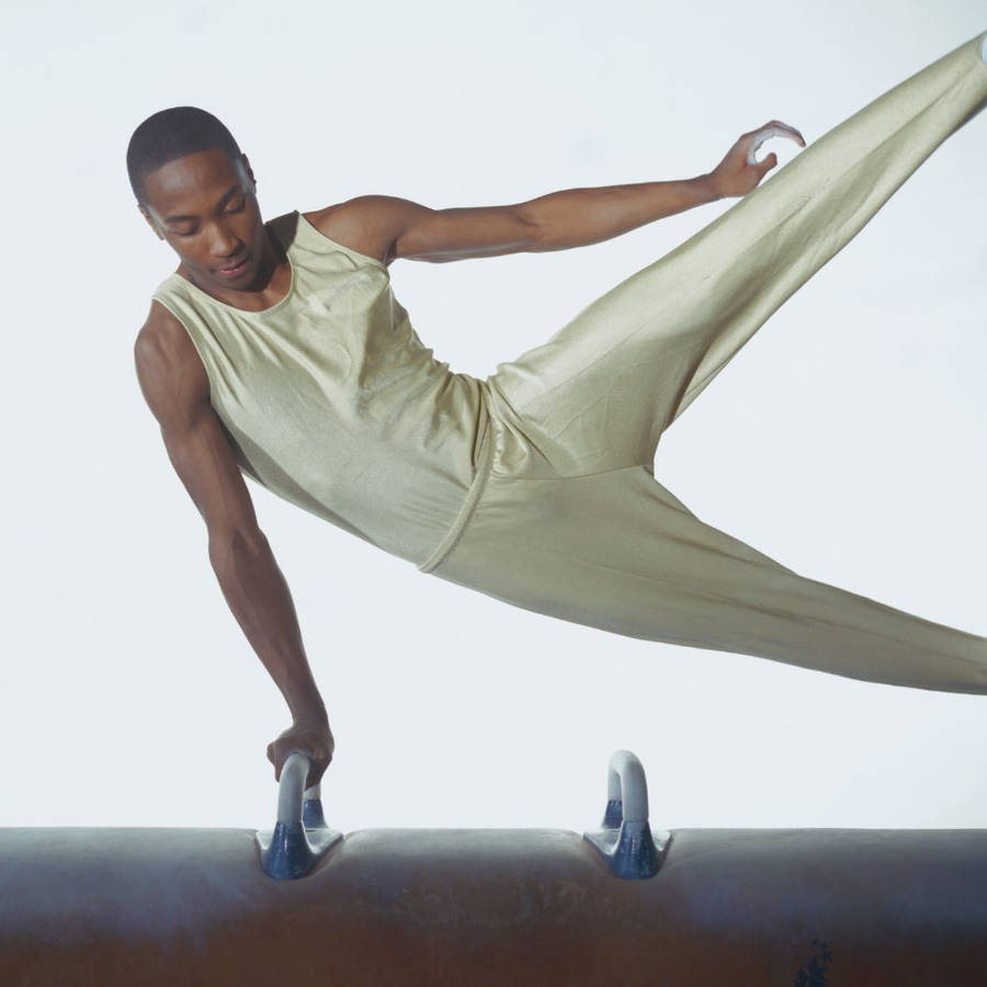 Pommel Horse One Hand Balance