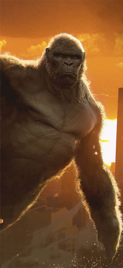 iPhone Xs Max Gorilla baggrundsfilm Kong Kong tema: