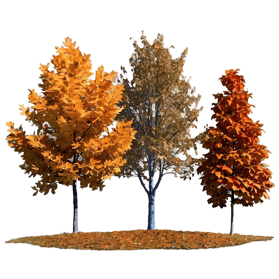 Fall Trees Against Blue Sky PNG 94