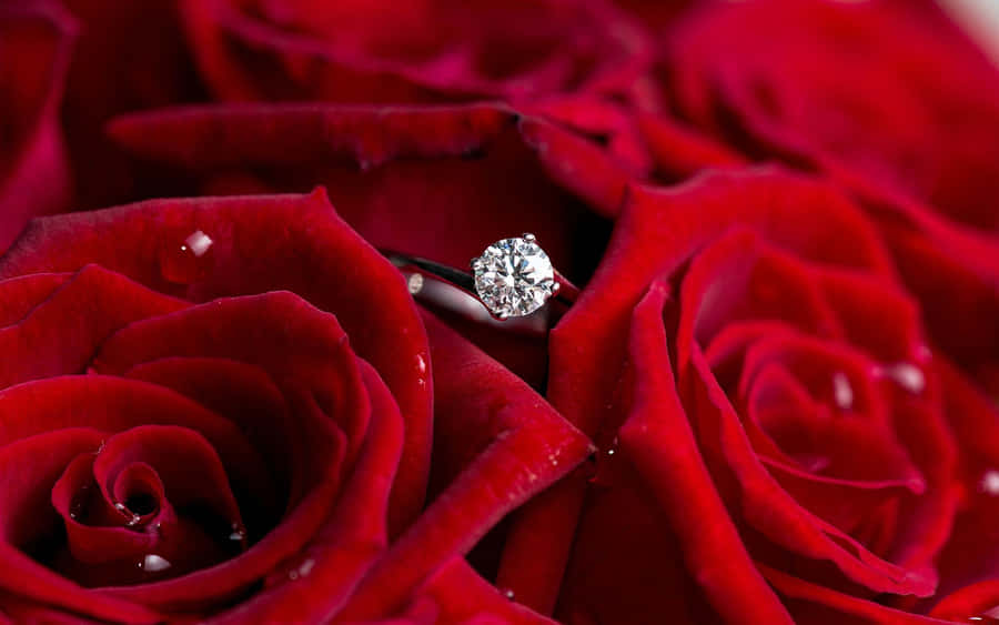 Verlobungsringauf einem Bild mit Rosen