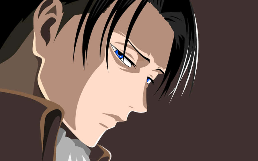 "LeviAckerman i konfrontation"