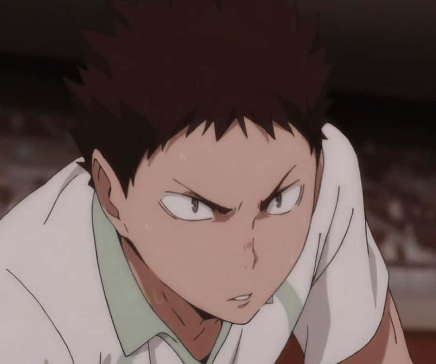 iwaizumihajime 1200 x 1000 tapet