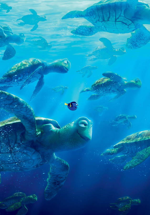 Download Finding Nemo Dory With Turtles Wallpaper Wallpapers Com