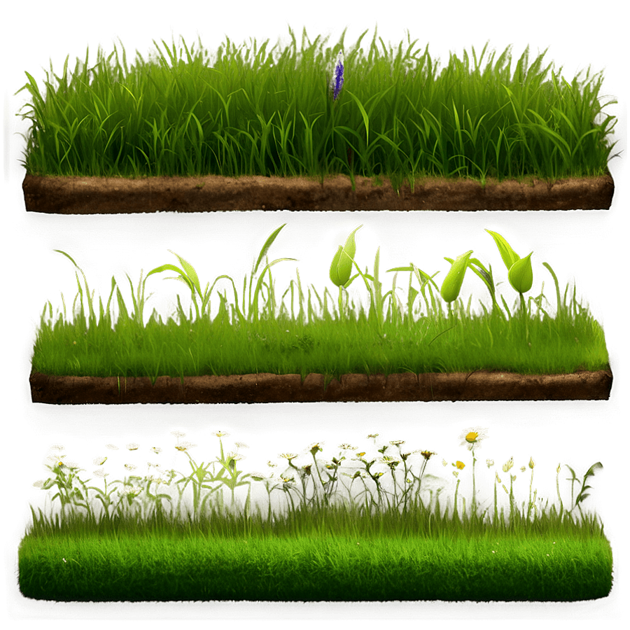 Natural Grass Patch PNG 18