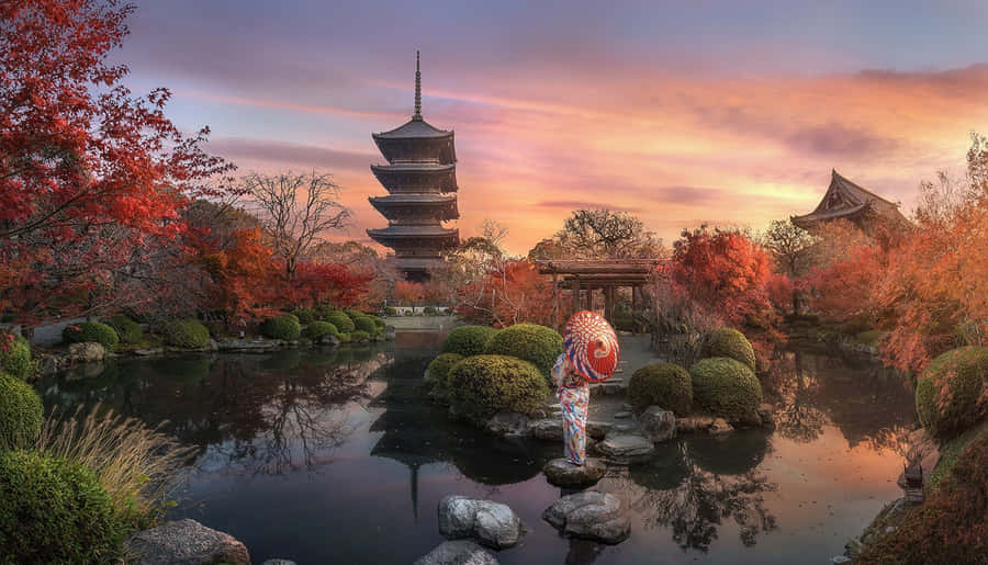 Paesaggiotranquillo di un giardino di samurai