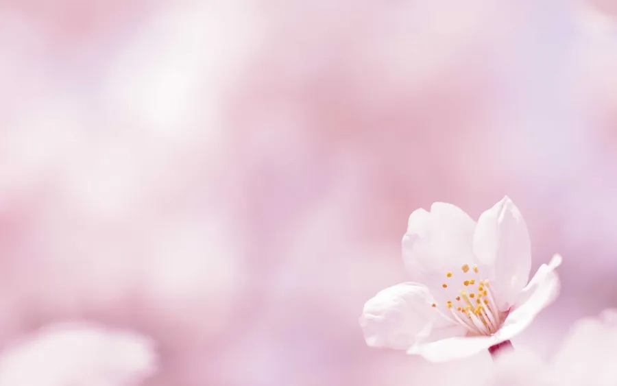 Simple Spring