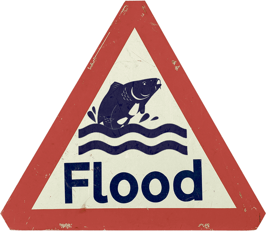 What Happens To Carp In A Flood, HD Png Download