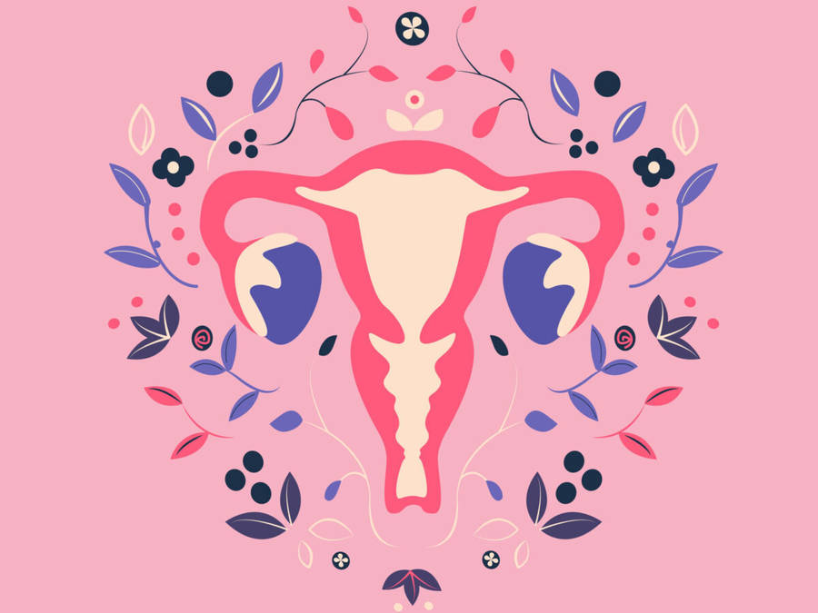 Download Flowery Uterus Menopause Image Wallpaper | Wallpapers.com