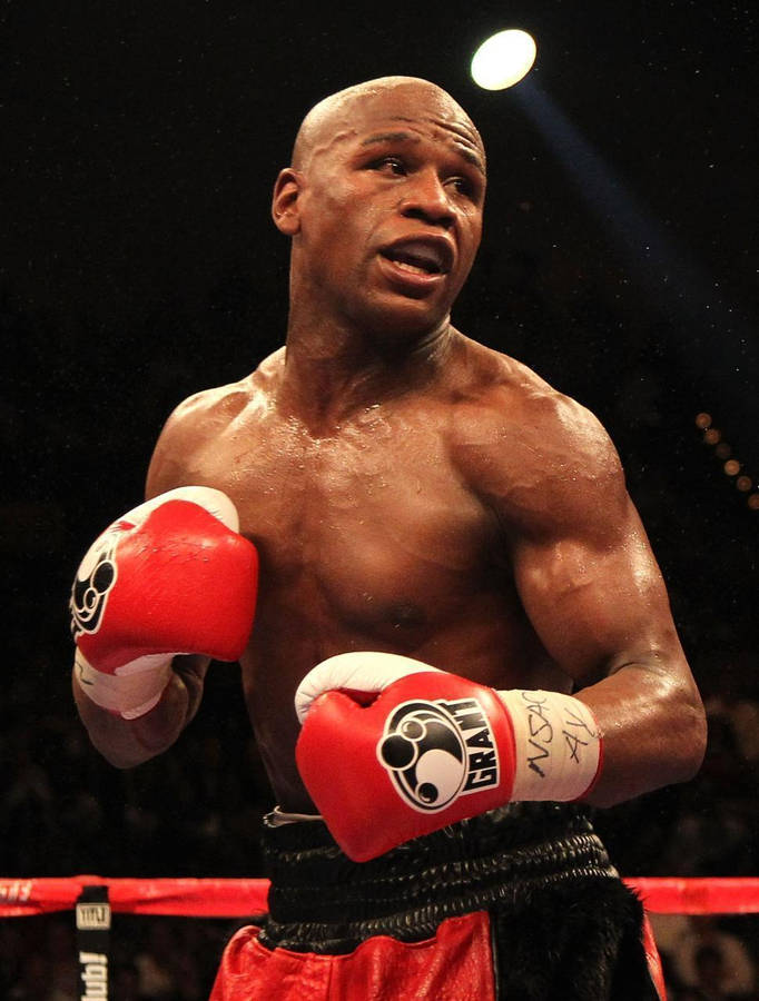 Download Floyd Mayweather Strikes Pose Before Match Wallpaper ...