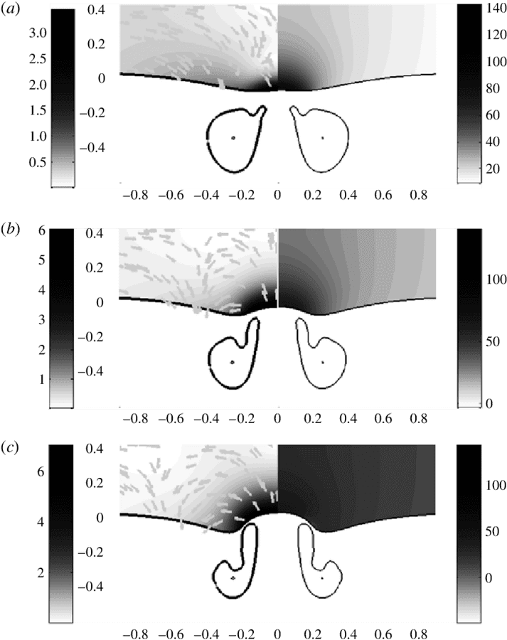 Fluid Dynamics Visualization Comparison PNG