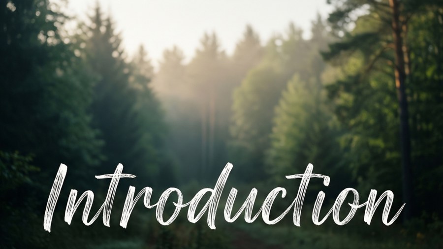 Forest Introduction Script Wallpaper