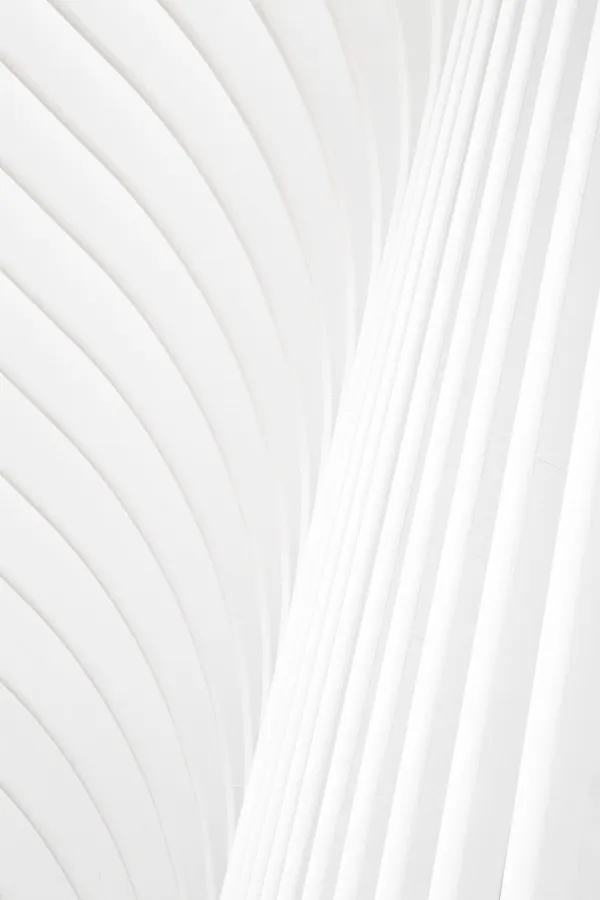 Solid White Background