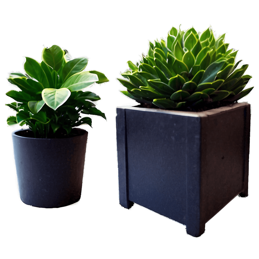 Office Desk Plant PNG seh