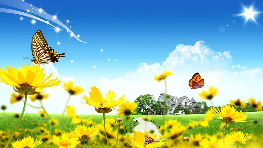 sunny Background