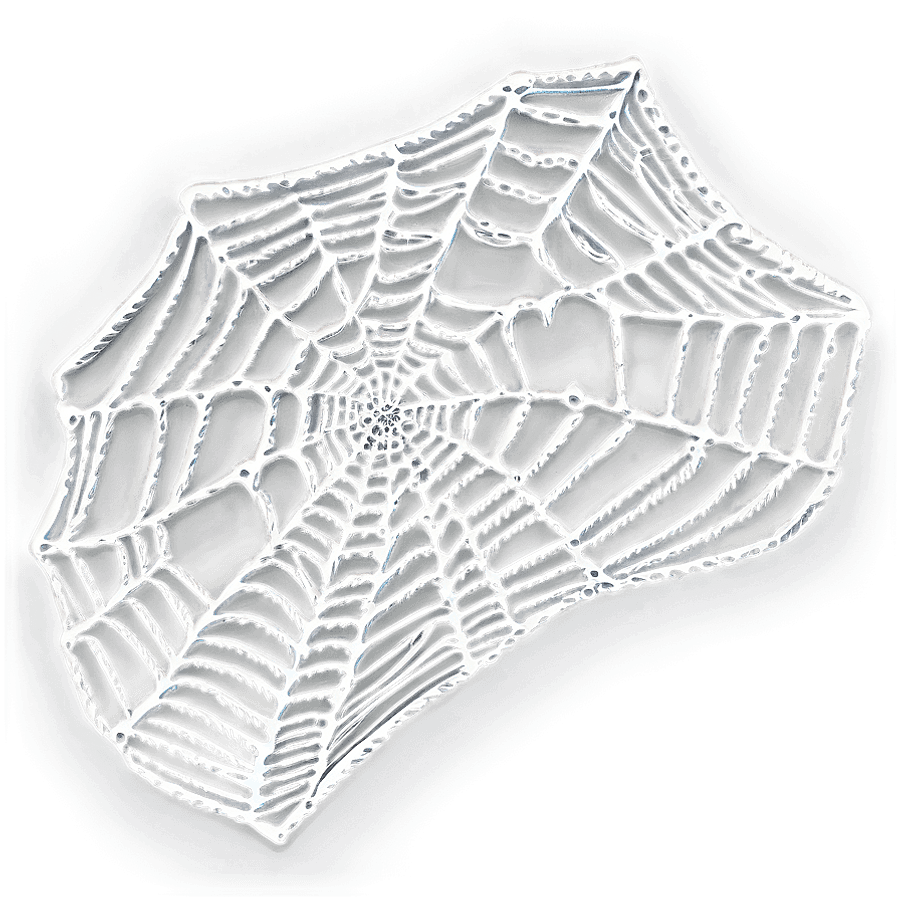 Magical Spiderweb PNG fue