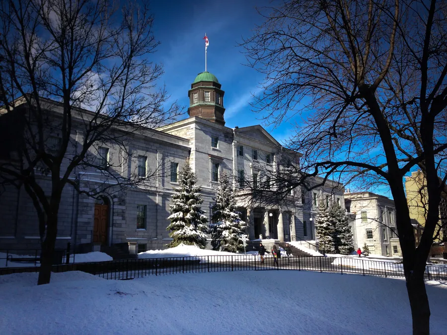 University background