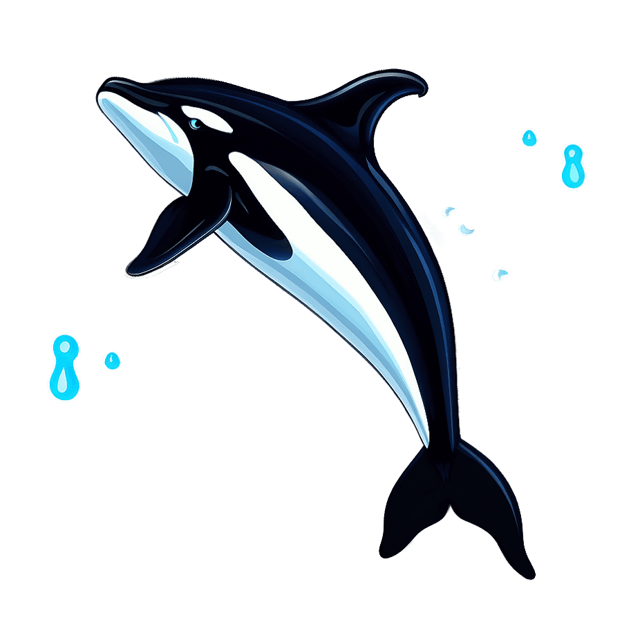 Swimming Orca Whale Graphic PNG csf18