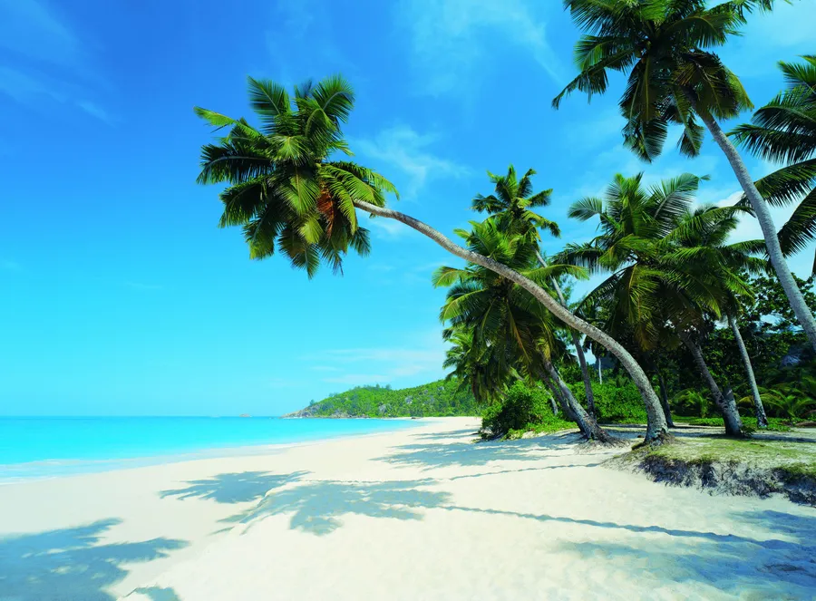 Palm Beach