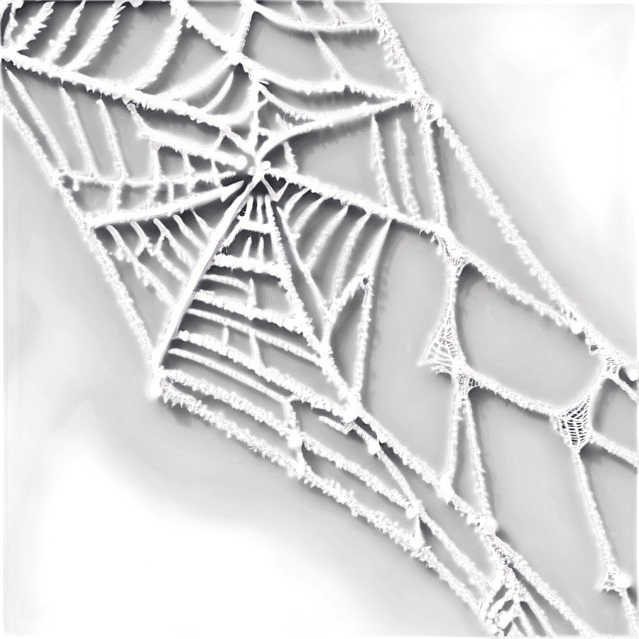 High-Quality Cobweb Image PNG 05262024
