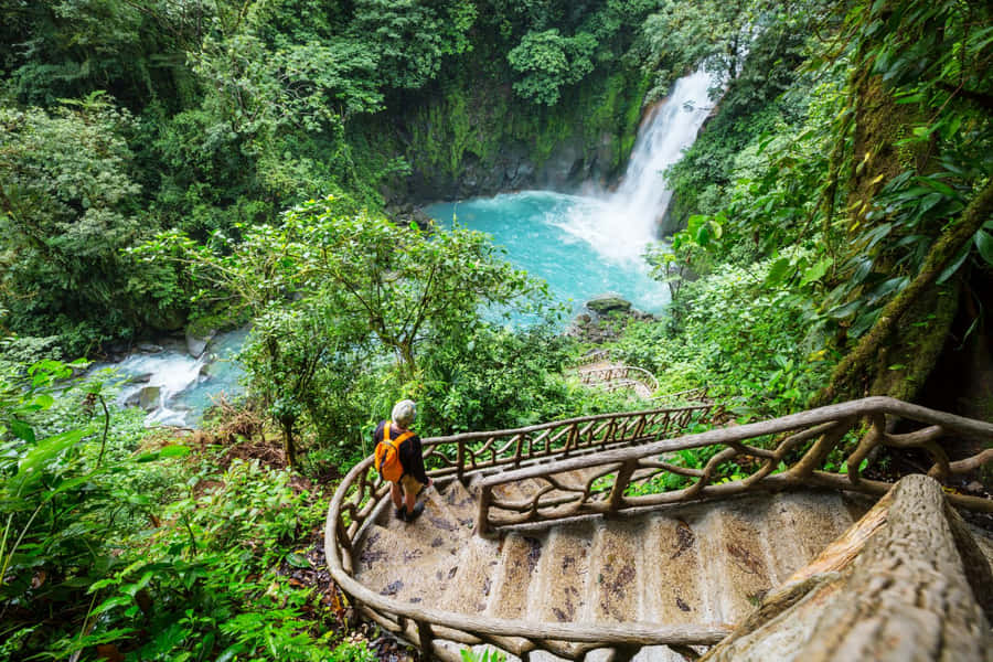 Avventuradell'Eco-Turismo: Esplorare foreste rigogliose e cascate