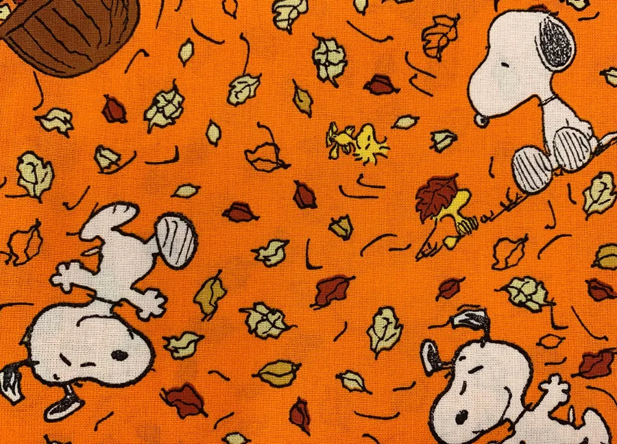 Snoopy pictures
