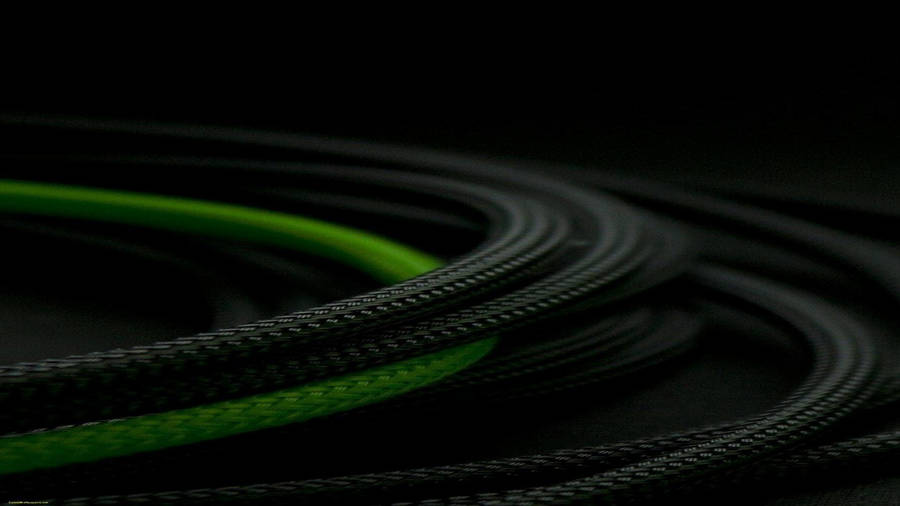 AktuelleTrend-Dunkelgrüne und Schwarze Kabel