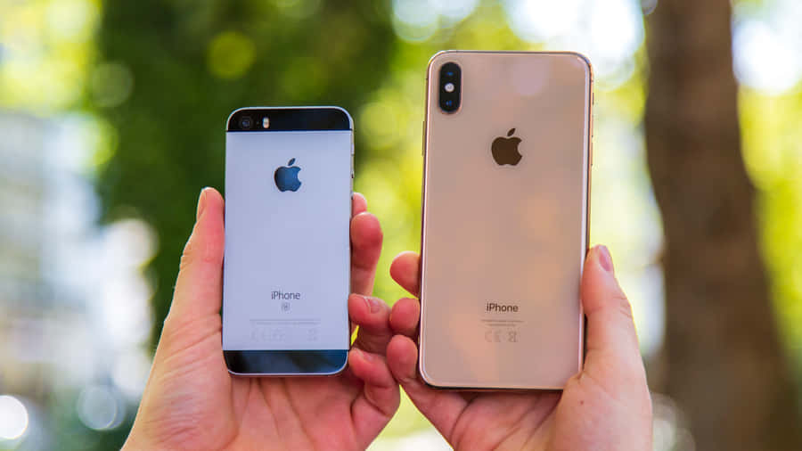 Dasneueste iPhone von Apple