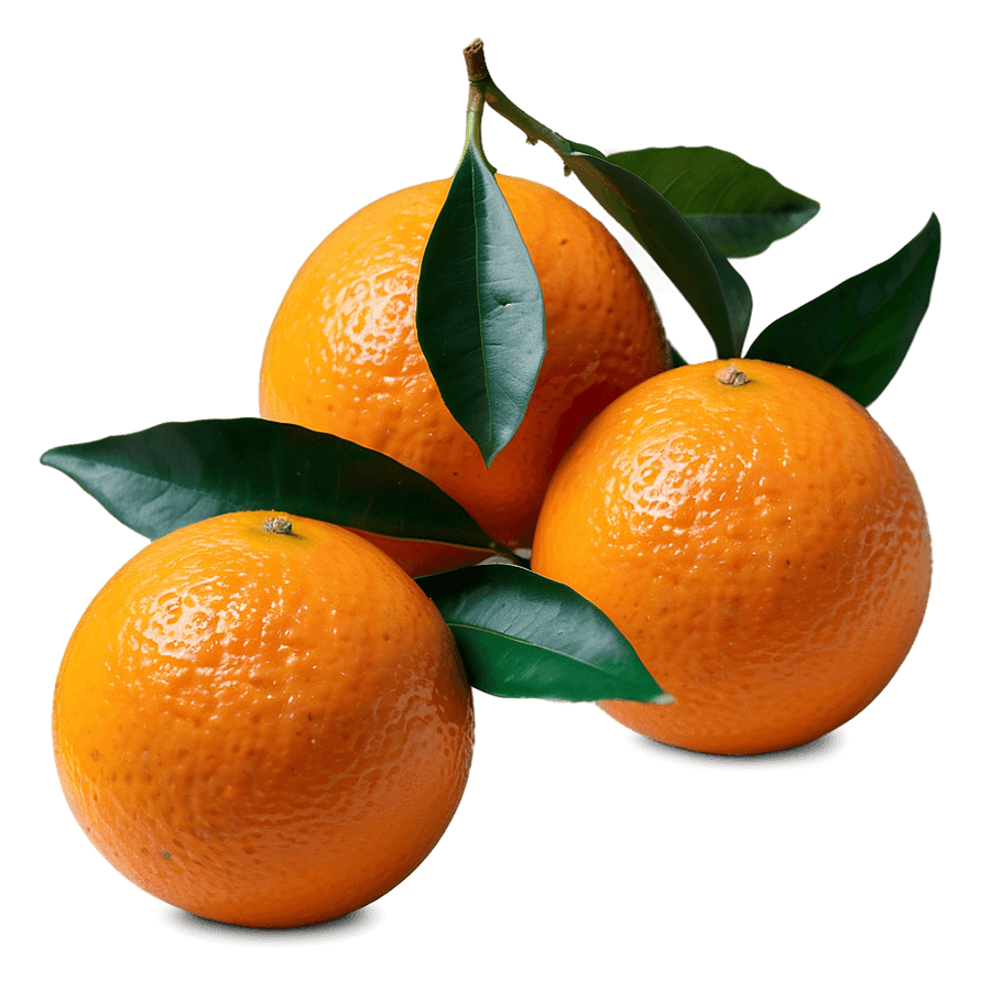 Hand-Picked Orange PNG fcs80