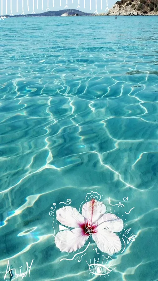 Cute Sea