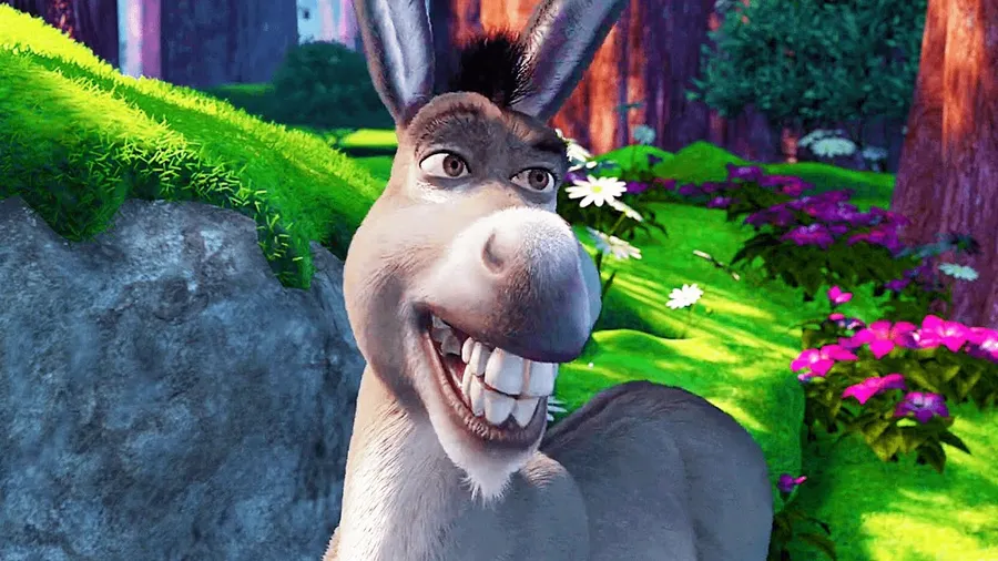 Donkey pictures