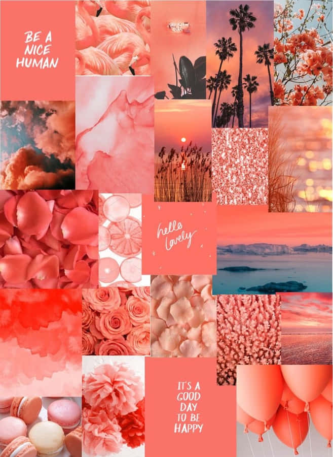 Korallen-inspirierte Collage Ästhetik.jpg